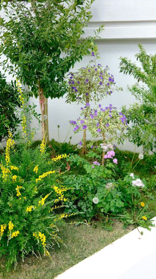 从市区大平层搬到郊区小院，花4年装出了一个让我“神完气足”的理想家__从市区大平层搬到郊区小院，花4年装出了一个让我“神完气足”的理想家