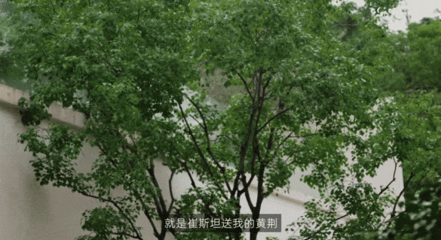 从市区大平层搬到郊区小院，花4年装出了一个让我“神完气足”的理想家__从市区大平层搬到郊区小院，花4年装出了一个让我“神完气足”的理想家