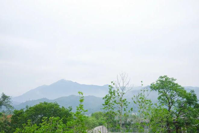 从市区大平层搬到郊区小院，花4年装出了一个让我“神完气足”的理想家_从市区大平层搬到郊区小院，花4年装出了一个让我“神完气足”的理想家_