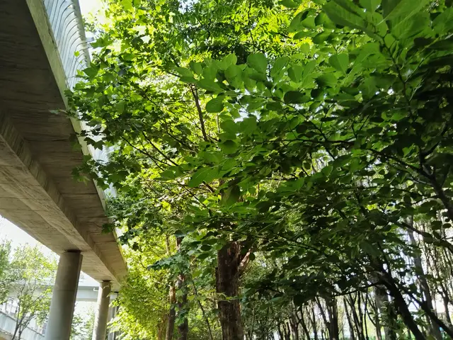 初高中孩子能自驱主动学习，从父母3次退出开始，越退孩子越自律