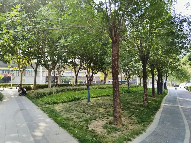 自律性差的孩子进重点学校__自律性差的孩子高中适合住校吗
