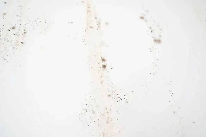 _洪水浸泡过的房子有什么危害_洪水泡过的房子对身体有伤害吗