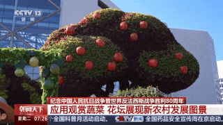 广场平面布置__广场的布局有哪些形式