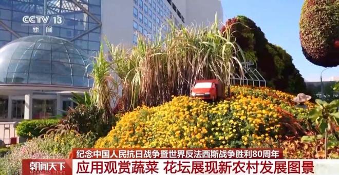 _广场平面布置_广场的布局有哪些形式