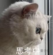 OpenAI最新技术报告：GPT-4o变谄媚的原因万万没想到_OpenAI最新技术报告：GPT-4o变谄媚的原因万万没想到_