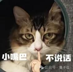 _奥特曼失败的图片_奥特曼断腿