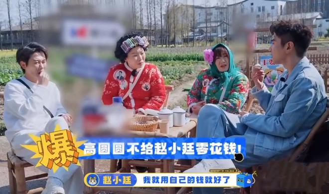 婚后综艺节目__婚后综艺文