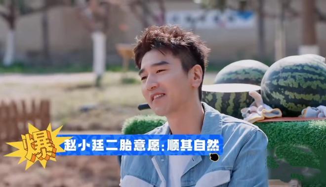 婚后综艺文_婚后综艺节目_