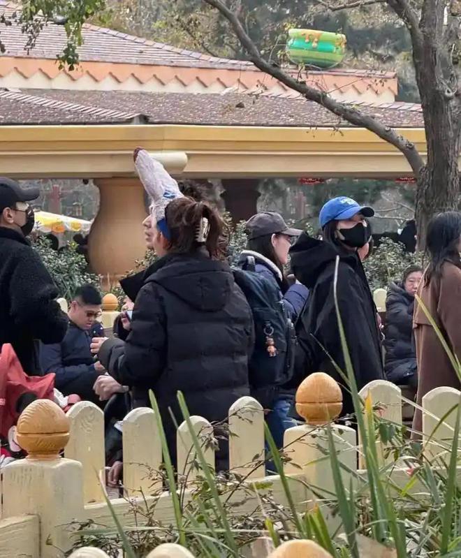 婚后综艺文__婚后综艺节目