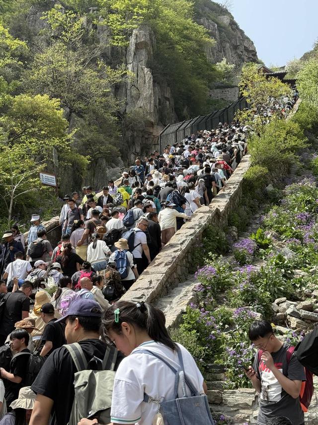 _爬泰山群_爬泰山全程视频