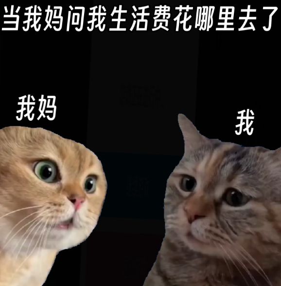 这次真要谢谢Data Agent了，让我过了一把当老板的瘾__谢谢老板fancicatxt