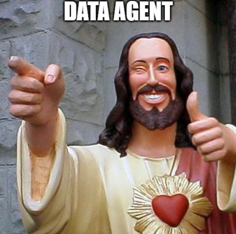 _这次真要谢谢Data Agent了，让我过了一把当老板的瘾_谢谢老板fancicatxt