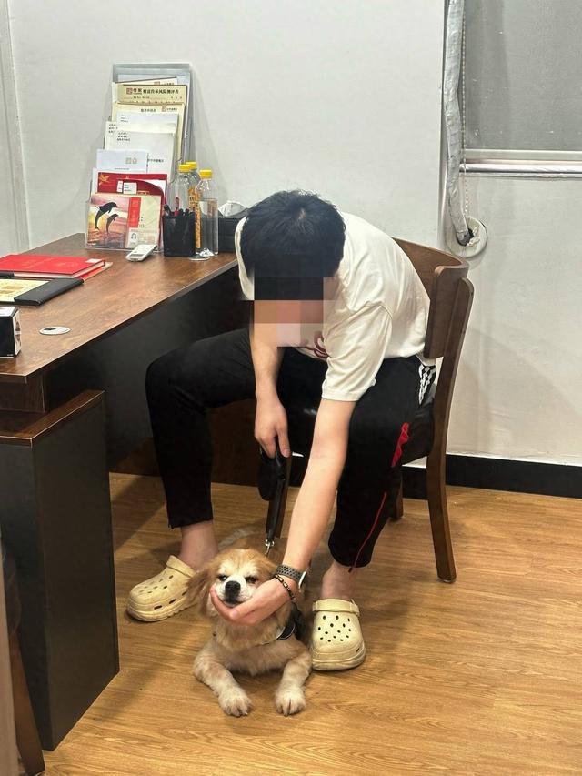 遗嘱给狗有效吗_遗产给宠物_