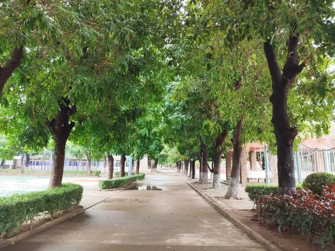 佛山顺德学校招聘__佛山顺德招聘教师349人