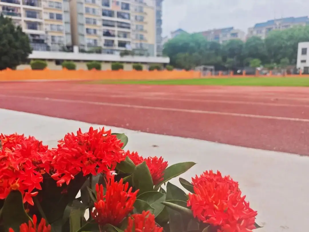 佛山顺德学校招聘__佛山顺德招聘教师349人