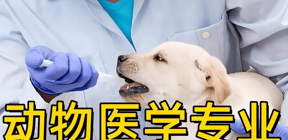 广东成人高考【兽医】专业介绍及报考院校指南