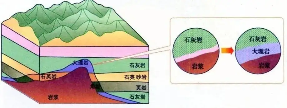 高考地理地质构造题目__地质剖面图反映的内容有哪些