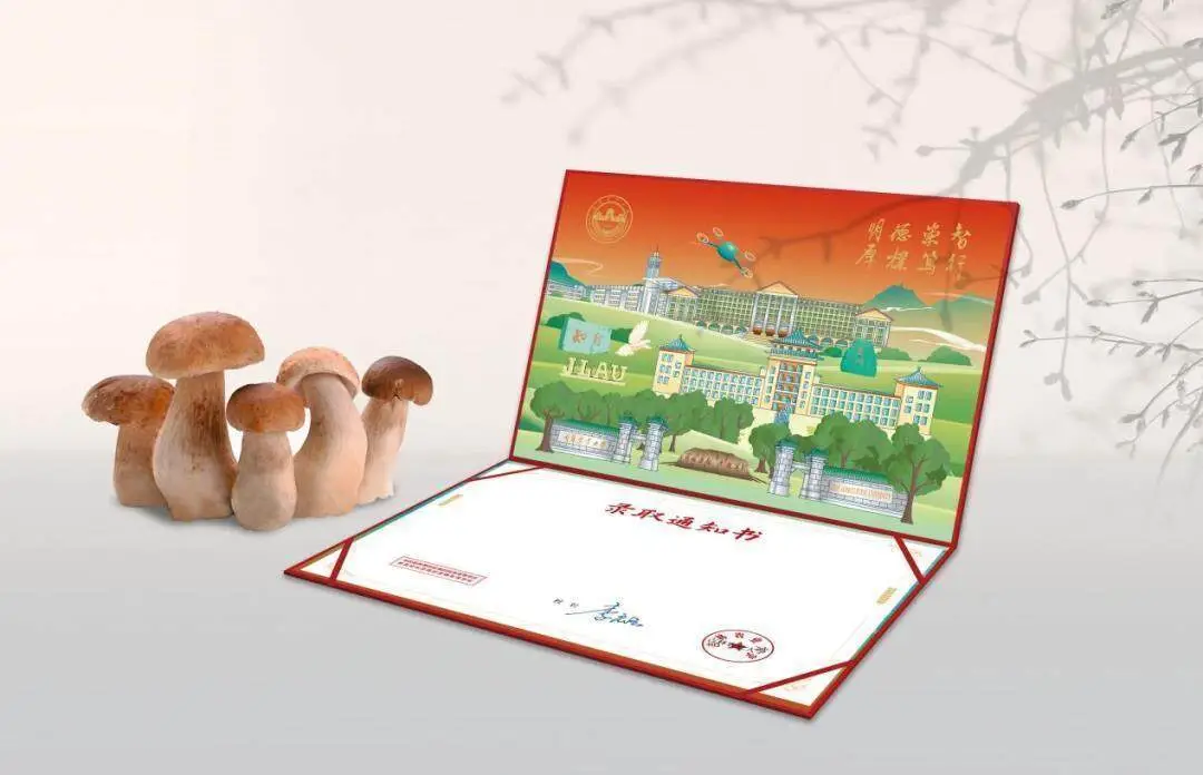 录取通知书可制“小鸡炖蘑菇”，背后是教育的创新与用心｜时评