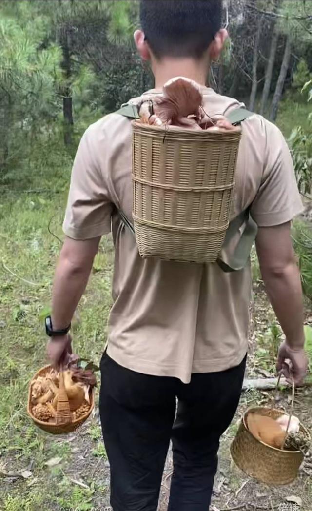 苍山采蘑菇__菌彩野生菌火锅总部电话