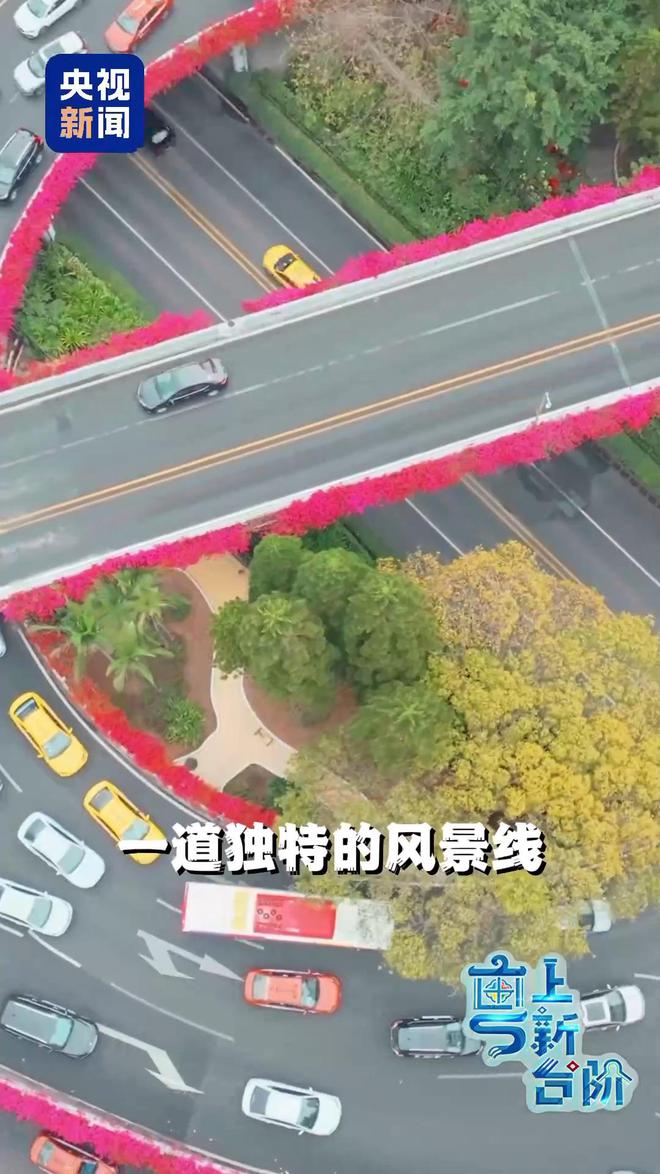 “粤”上新台阶丨春天花会开 但什么花能开一年四季？