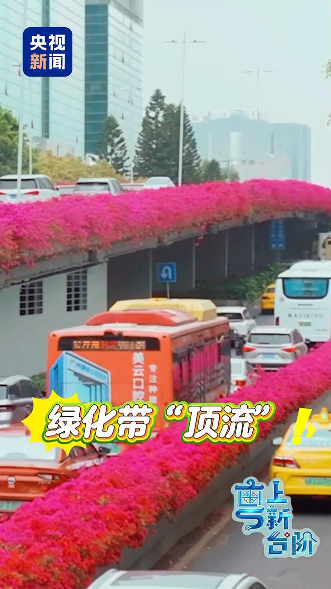 “粤”上新台阶丨春天花会开 但什么花能开一年四季？