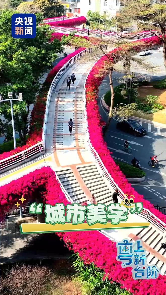“粤”上新台阶丨春天花会开 但什么花能开一年四季？