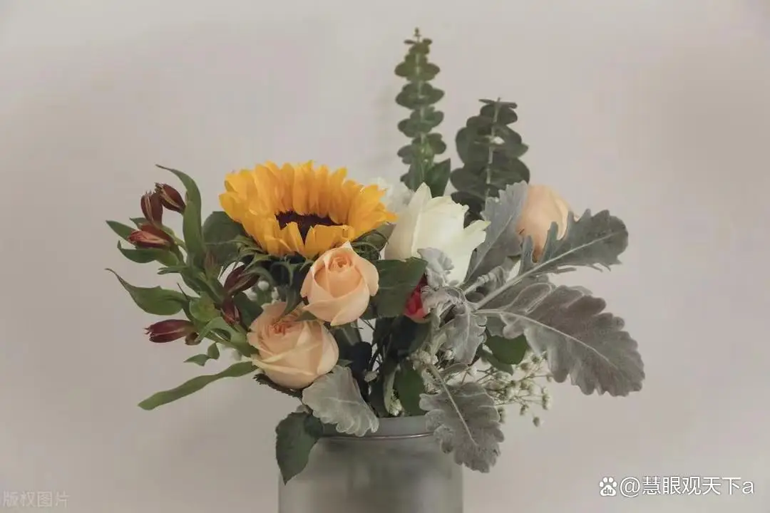 _父母傻是不是孩子就傻_父母傻孩子聪明