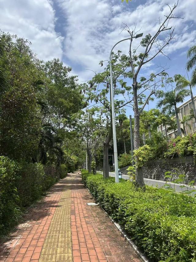 三亚救人溺水事件_陈伟霆回应整容质疑_