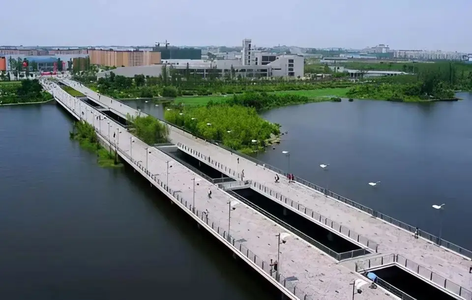 十年前没人敢选的专业，居然翻红了_十年前没人敢选的专业，居然翻红了_