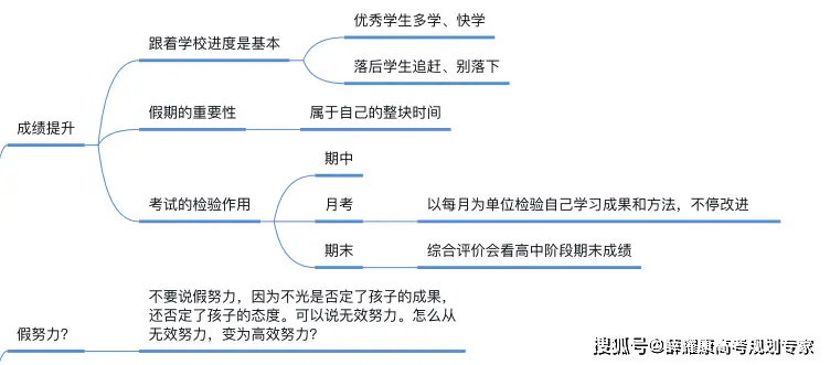 _高中三年各科规划_科学高中三年规划怎么写