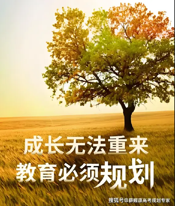 高中三年各科规划_科学高中三年规划怎么写_