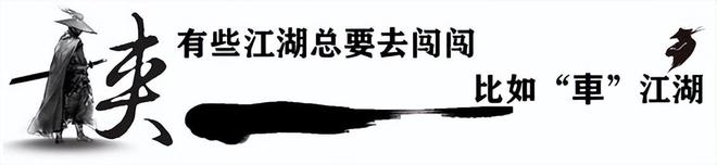 预算不到10万，没有家充桩，还想开10年不换车，就选TA！