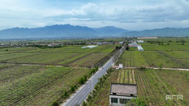 【乡路上，感受脉动中国】“美丽乡路”服务提质 “地标鲜果”助力振兴