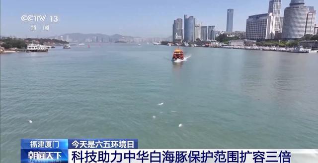 _中国官方的海豚保护组织_中华海豚是几级保护