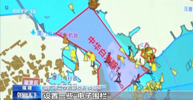 中华海豚是几级保护_中国官方的海豚保护组织_