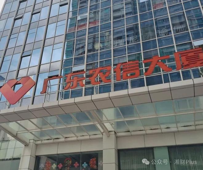 _市人大市委_市人大常委会调研组到我县调研