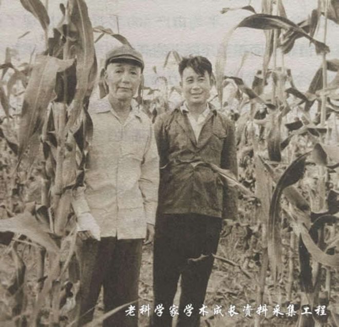 _小麦育种方法及选育过程_小麦育种技术研究进展