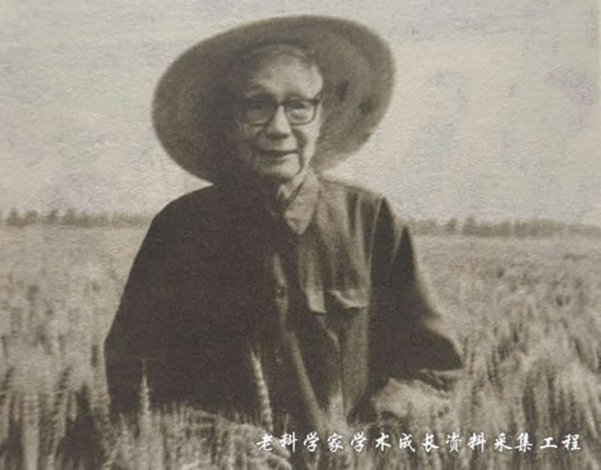 小麦育种技术研究进展_小麦育种方法及选育过程_