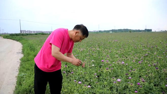 新华视点｜逐梦沃野 共探富民密码