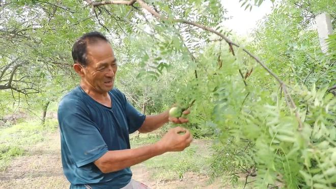 新华视点｜逐梦沃野 共探富民密码__新华视点｜逐梦沃野 共探富民密码