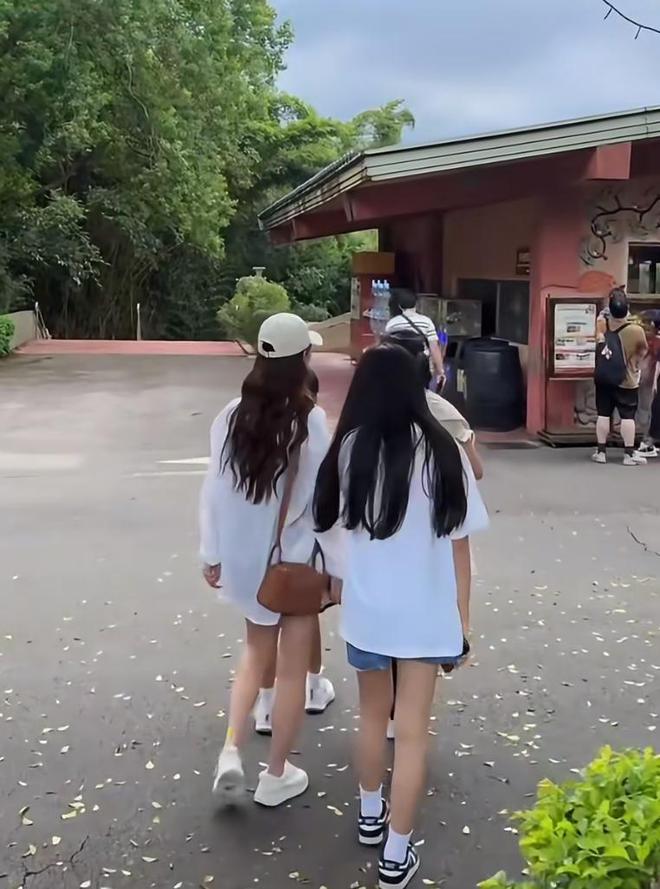 汪小菲带娃游动物园，一家四口幸福满溢，马筱梅小玥儿感情超好