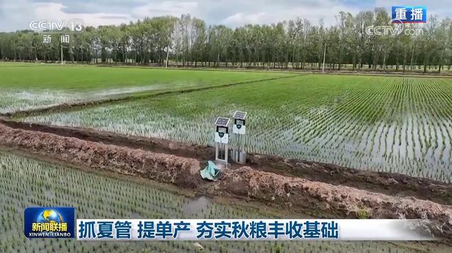 抓夏管 提单产 夯实秋粮丰收基础