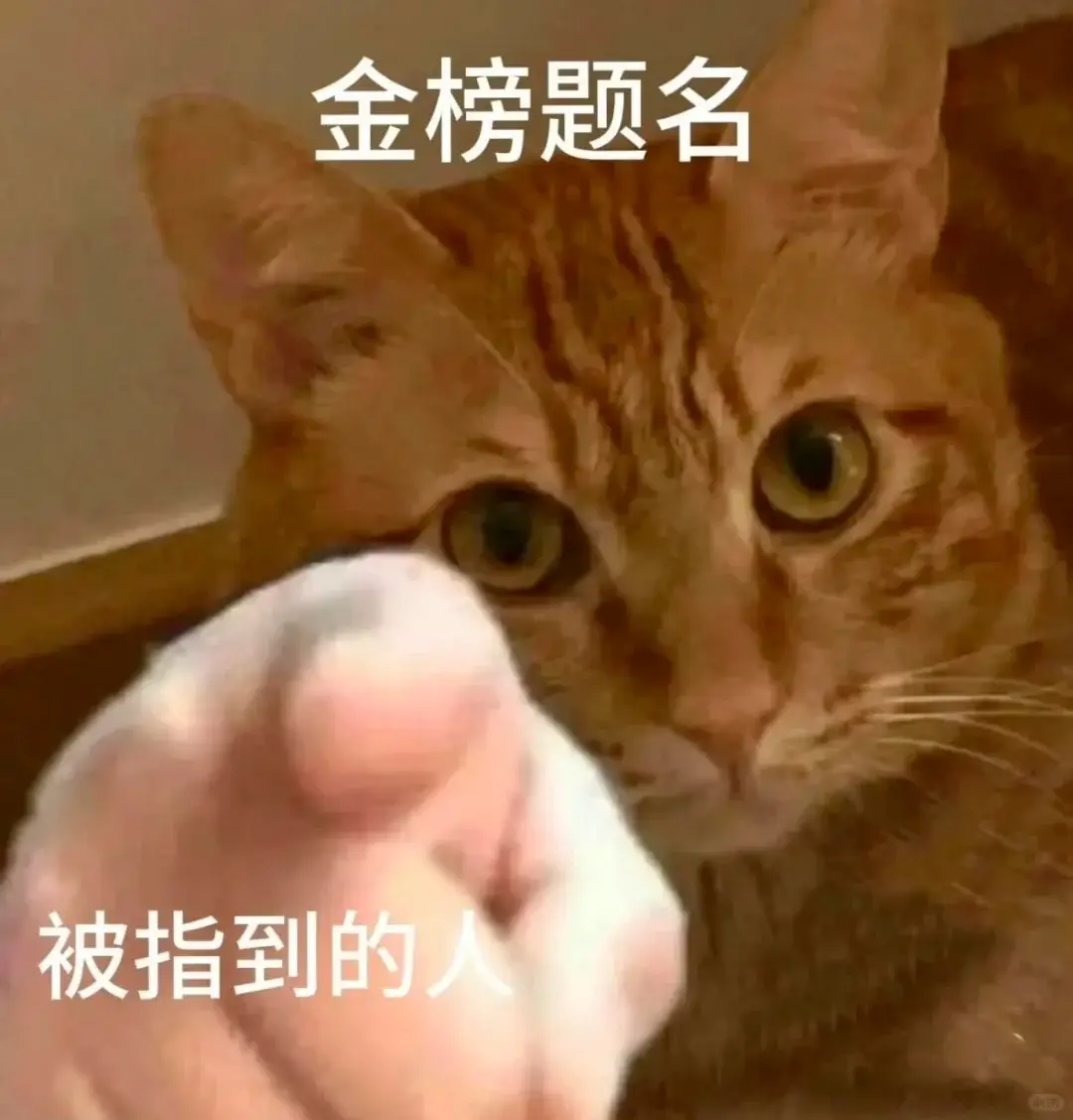 考研关键时间节点_考研时间节点流程图_