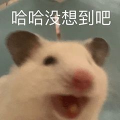 内存存储堆栈的区别存储什么__长江存储科技有限公司