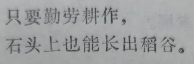 新疆前段时间怎么了_新疆一起_