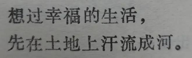 _新疆前段时间怎么了_新疆一起