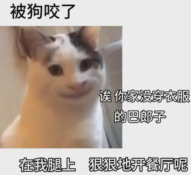_新疆一起_新疆前段时间怎么了