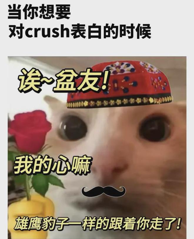 _新疆一起_新疆前段时间怎么了