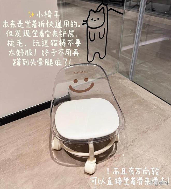 浙江姑娘的7㎡“猫房”火了：4只猫咪猫玩得欢，还不担心掉毛拆家__浙江姑娘的7㎡“猫房”火了：4只猫咪猫玩得欢，还不担心掉毛拆家