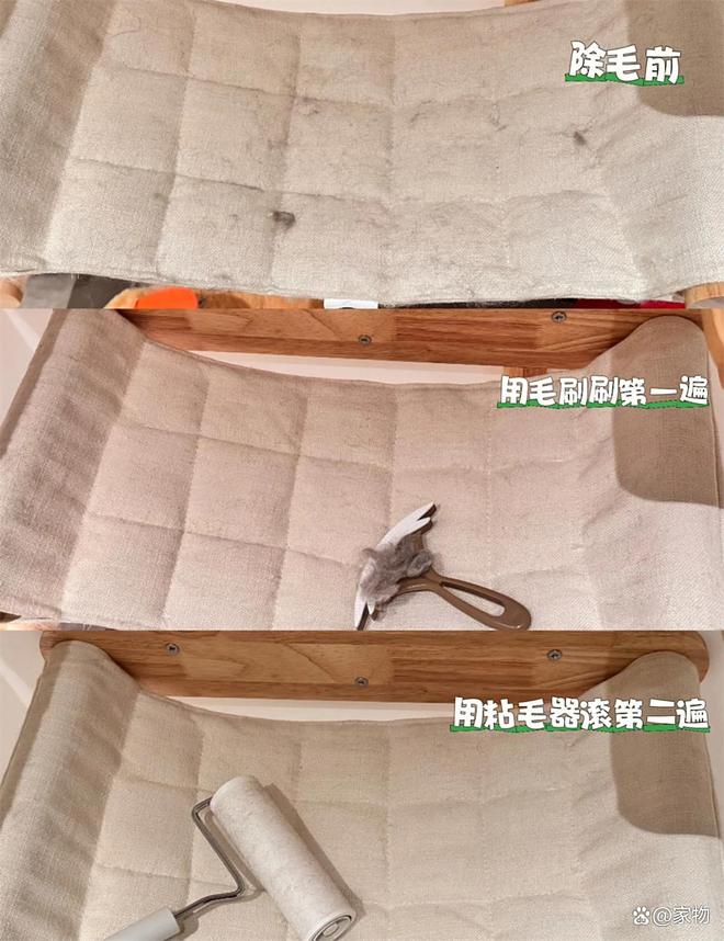 浙江姑娘的7㎡“猫房”火了：4只猫咪猫玩得欢，还不担心掉毛拆家_浙江姑娘的7㎡“猫房”火了：4只猫咪猫玩得欢，还不担心掉毛拆家_